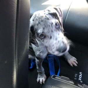 Meet your Posher, Andrew